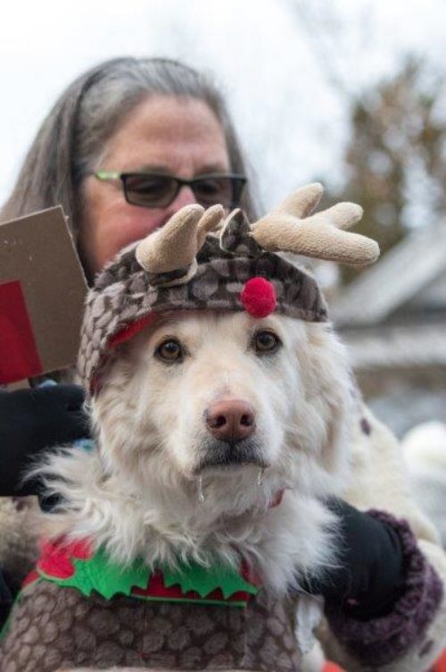 Toll Broadleaf Davis Modern Farmhouse Casual Dining CC RET RGB