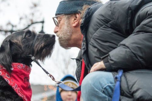 Toll Broadleaf Finished Lower Level
