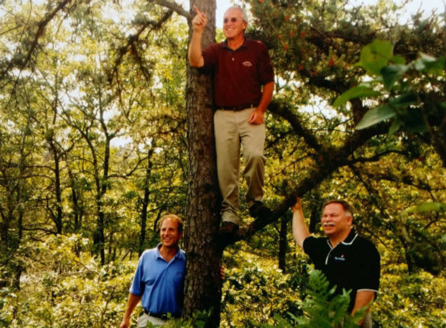 16 Walking Stick Barefoot Cottage 06