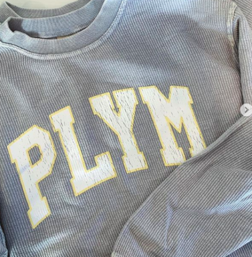 Reindog Banner Large