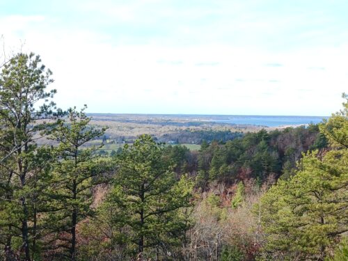 W Pinehills Pull Quotes Egan