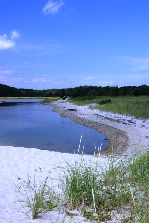 W Pinehills Pull Quotes Ellis Whitington OSR