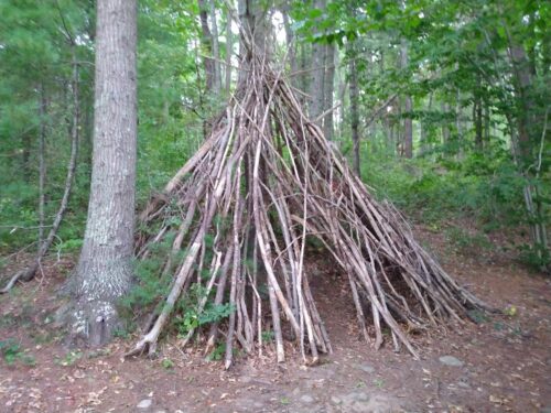 W Pinehills Pull Quotes Katie Mannix Book Love