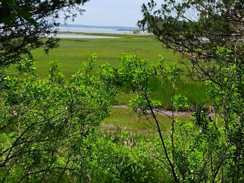 W Pinehills Pull Quotes Hadassah