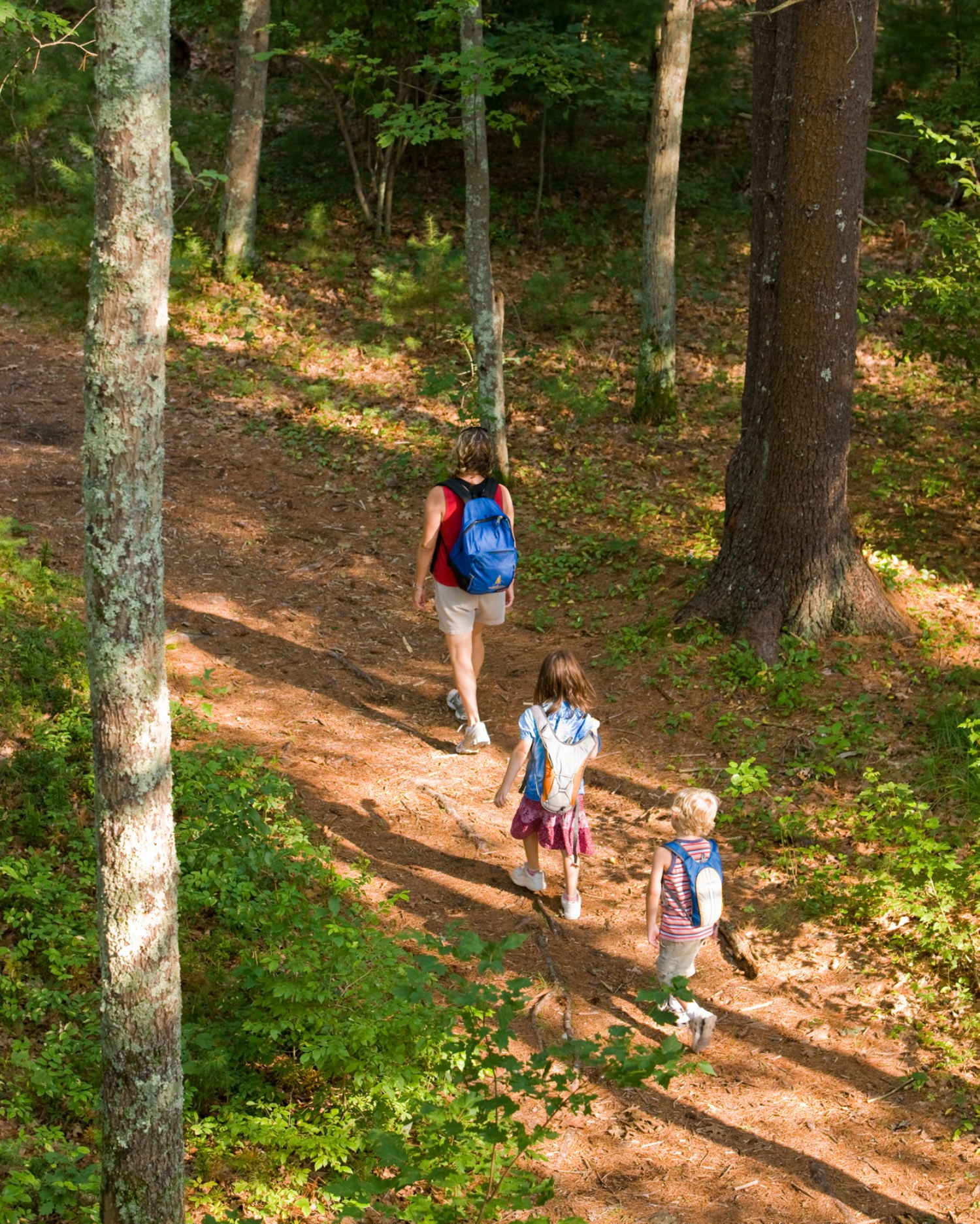 Stonebridge Banner Large