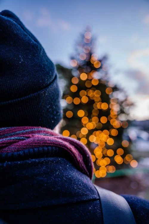 Disinfecting gift set Green Koala