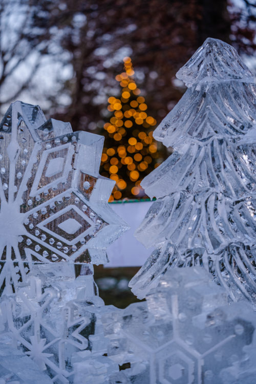 Green Koala Lip Balm
