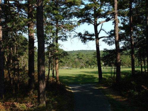 Golf Views