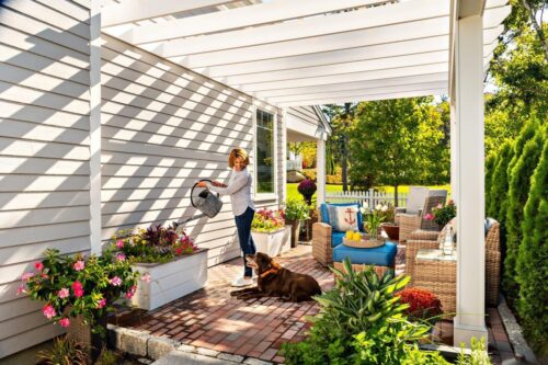 Watering with dog supervising