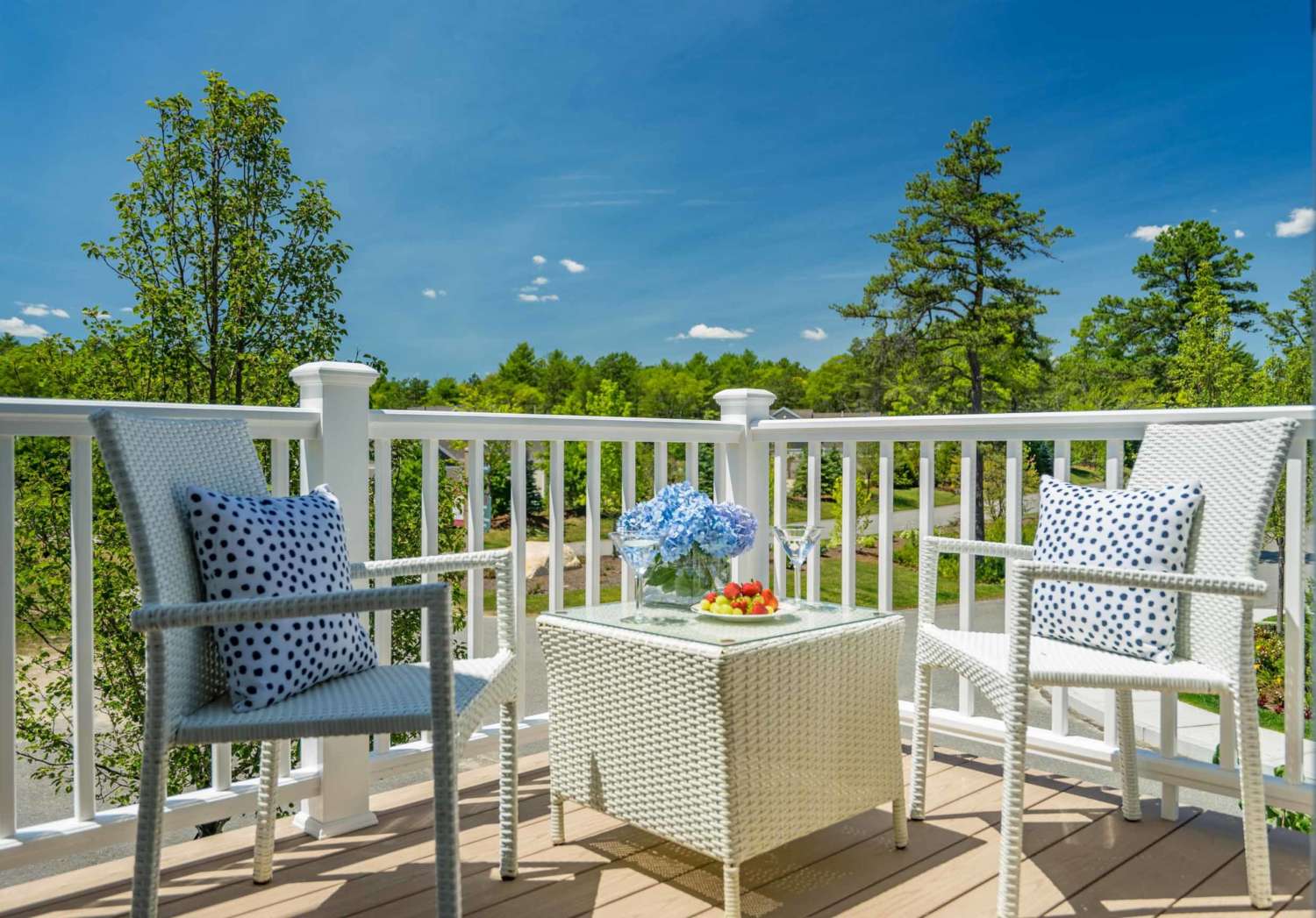 447627308 847863784032011 4371498138079621103 n