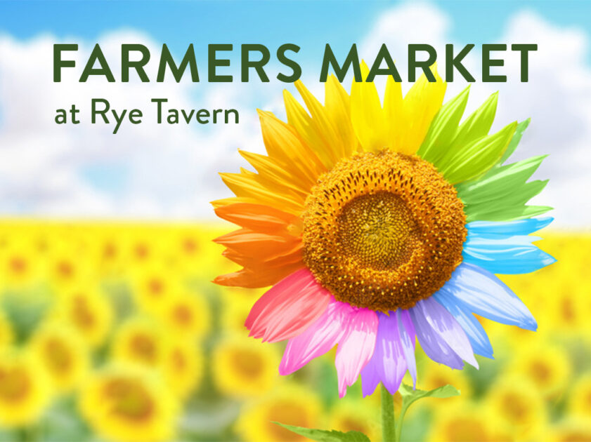 447627667 847863454032044 8277114557977218291 n