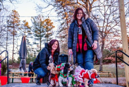 Pinehills Holidays 2019