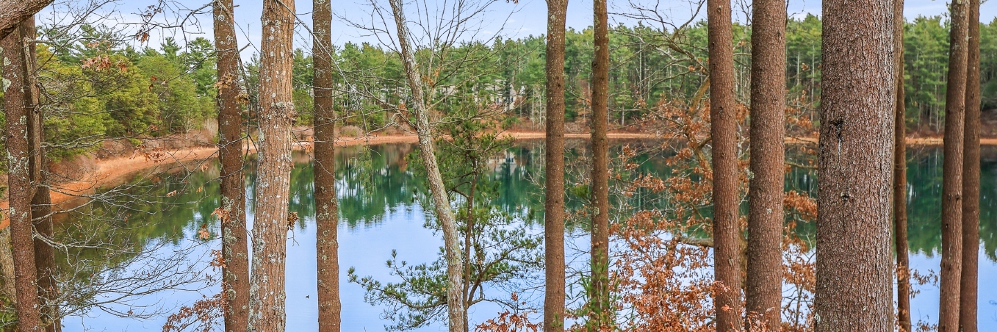 Clam Pudding Pond