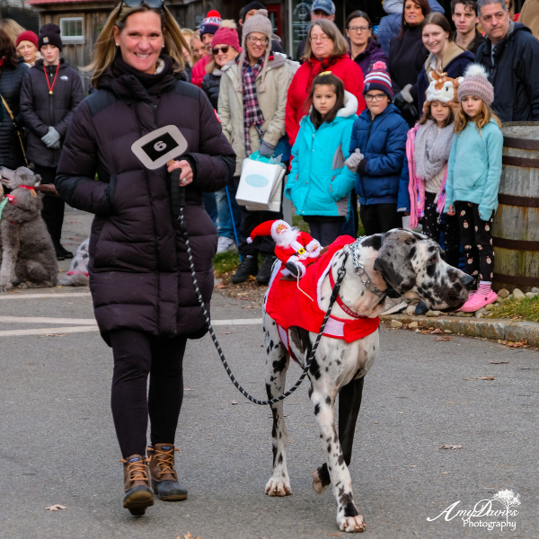 Reindog 2022 Best Large Dog Brewster Ebenezer photo Amy Davies