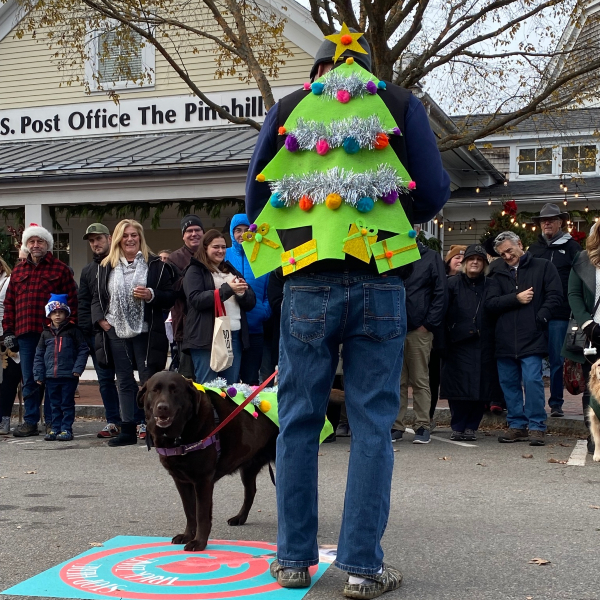 Reindog 2022 Winner Best Lookalike Casey photo Steve Garfield