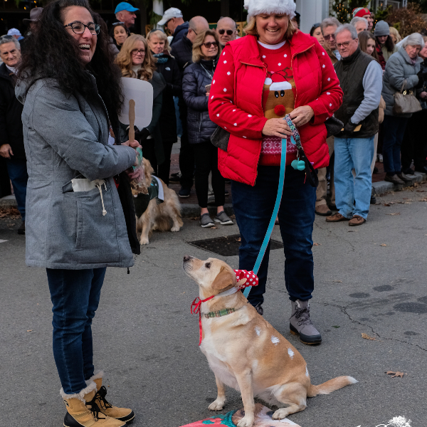 Reindog Winner Best Medium Dog Lulu photo Amy Davies