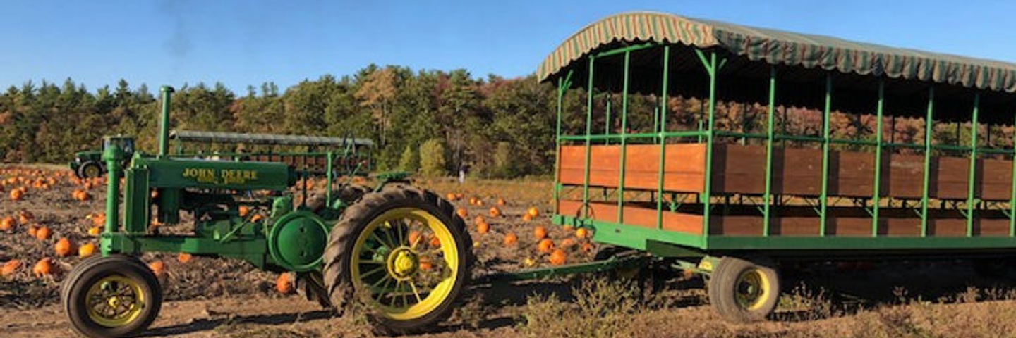 Sauchuk Pumpkin Patch, Plympton, MA