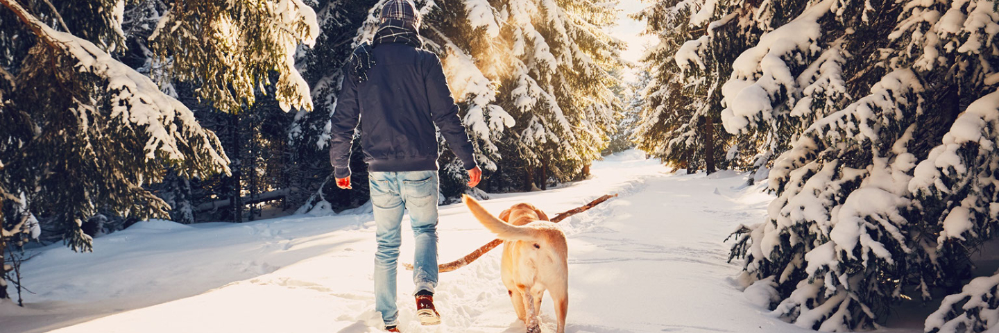 Winter Dog Hike