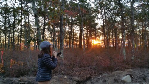 Donna and Dawns Light Sunrise