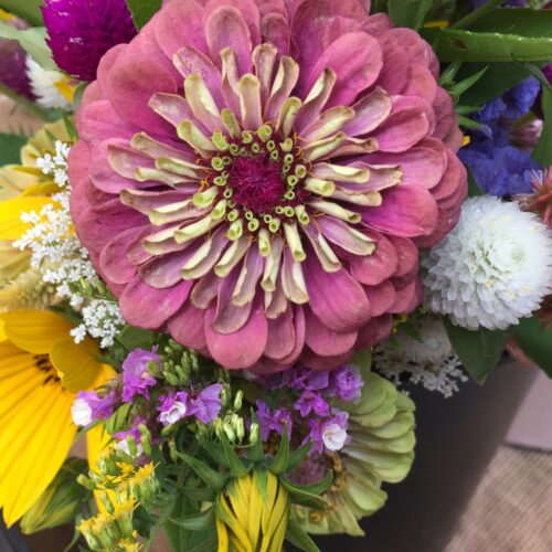 Farmers Market Flowers