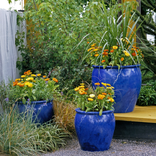 Simple Container Garden