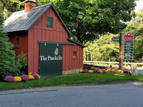 Egan Pinehills Red Barn Mums