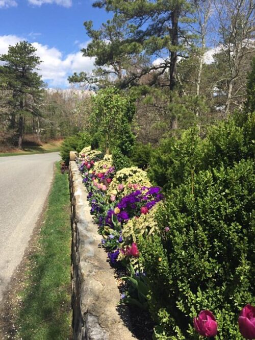 Egan Road with Flowers