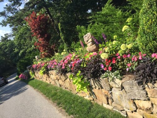 Egan Rock Wall Flowers