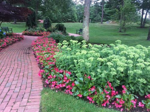 Egan Village Green Brick Walkway