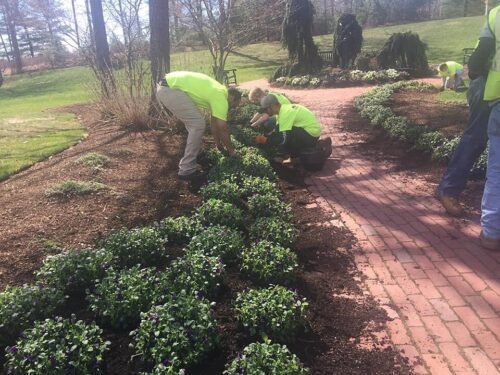 Egan Workers Planting Village Green Brick Walkway