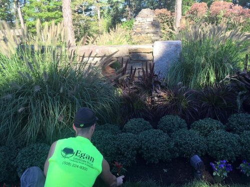 Egan Workers Planting