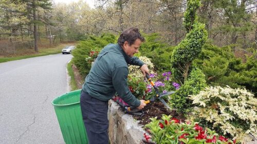 Egan Workers Pruning