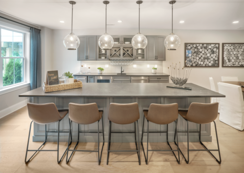 Toll Broadleaf Davis Modern Farmhouse Basement Wet Bar