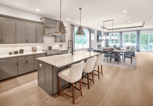 Toll Broadleaf Davis Modern Farmhouse Kitchen2