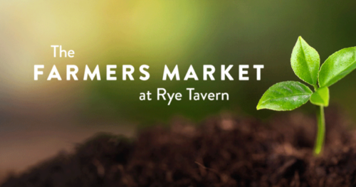 Rye Farmers Market 2021b
