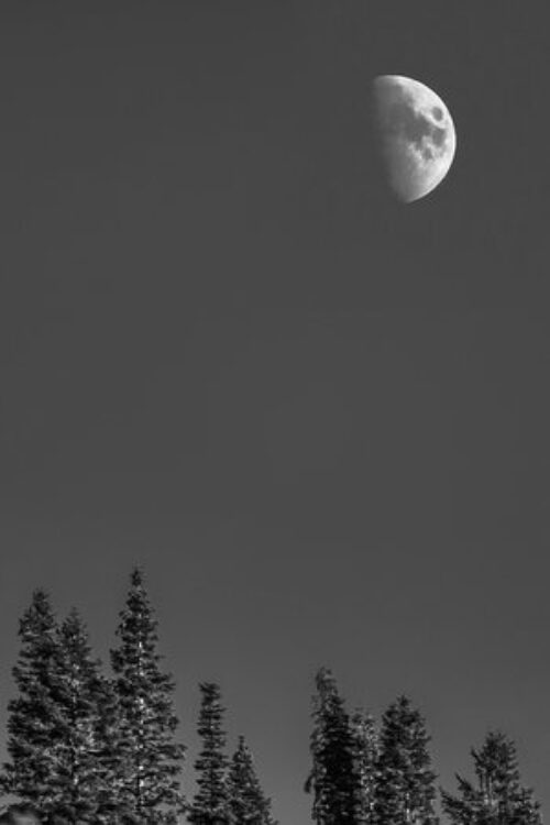 5 28 Picard Photography 5