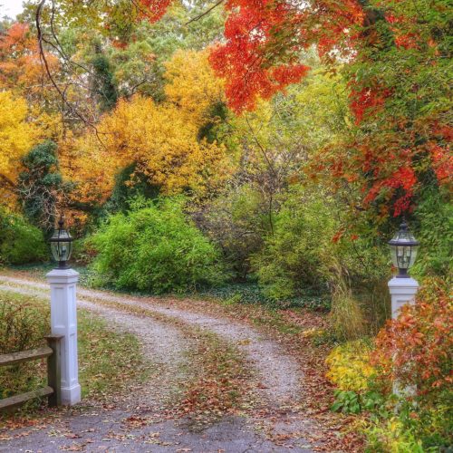 Anne McLaughlin – Digital Photography