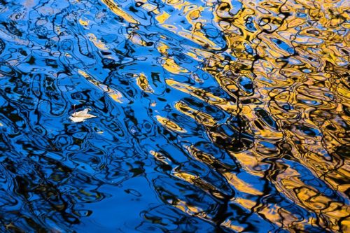 Lisa Redburn phototography
