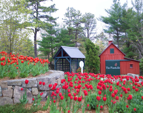 The Pinehills Iconic Entry - The Red Barn 