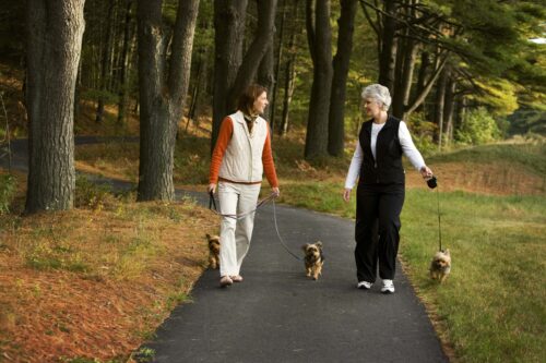 More than 10 Miles of Paved Lit Walking Trails