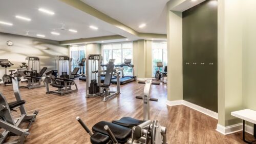 Avalon Fitness 2