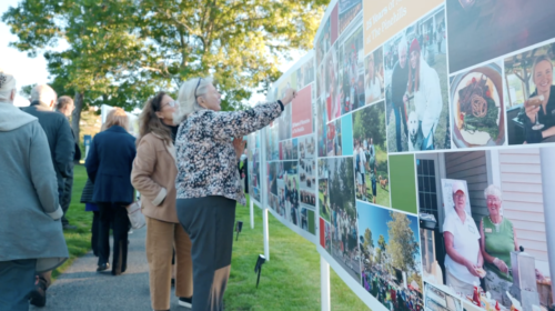 Enjoying Picture This Large