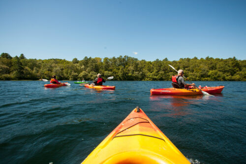 Kayaking Great Island Pond