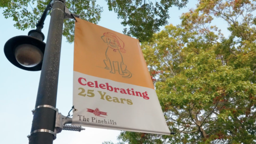 Reindog Banner Large