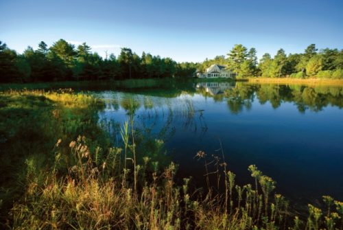 Ryecroft Pond Views