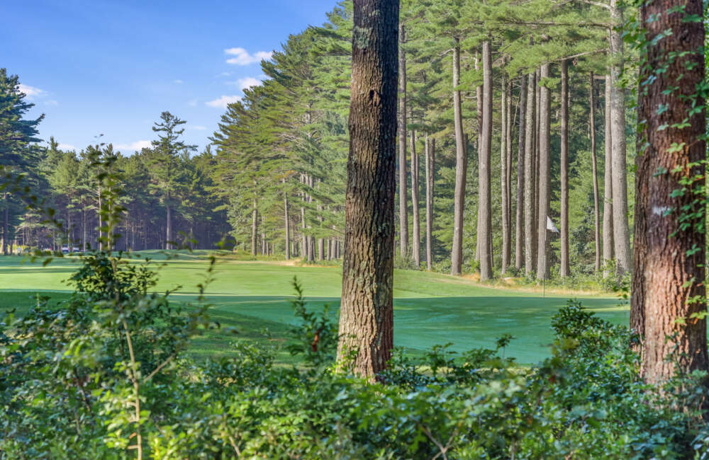 15 Ryecroft Golf View