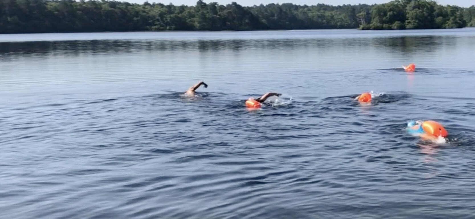 Great Island Pond Swim
