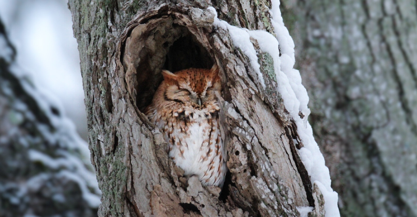 James Velasquez Tidmarsh