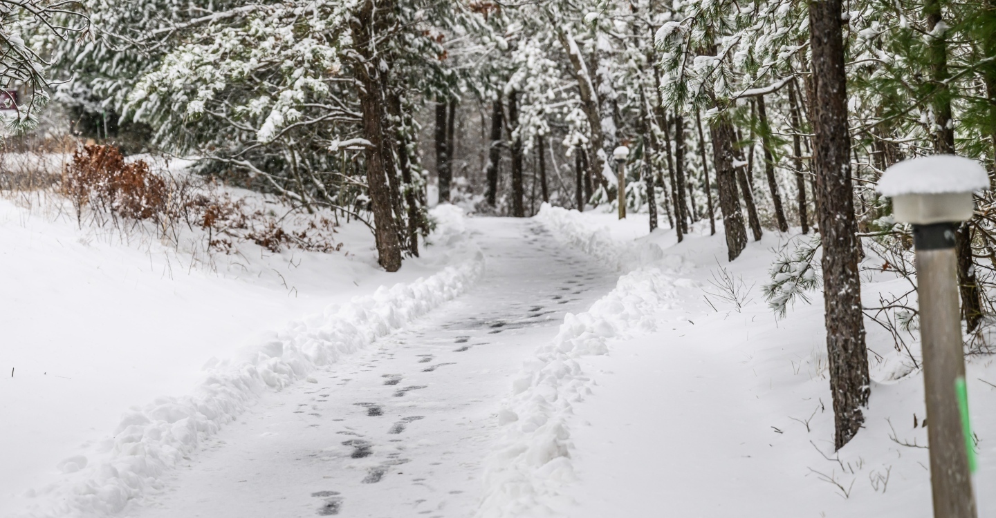 Pinehills Trail by Ken Grille