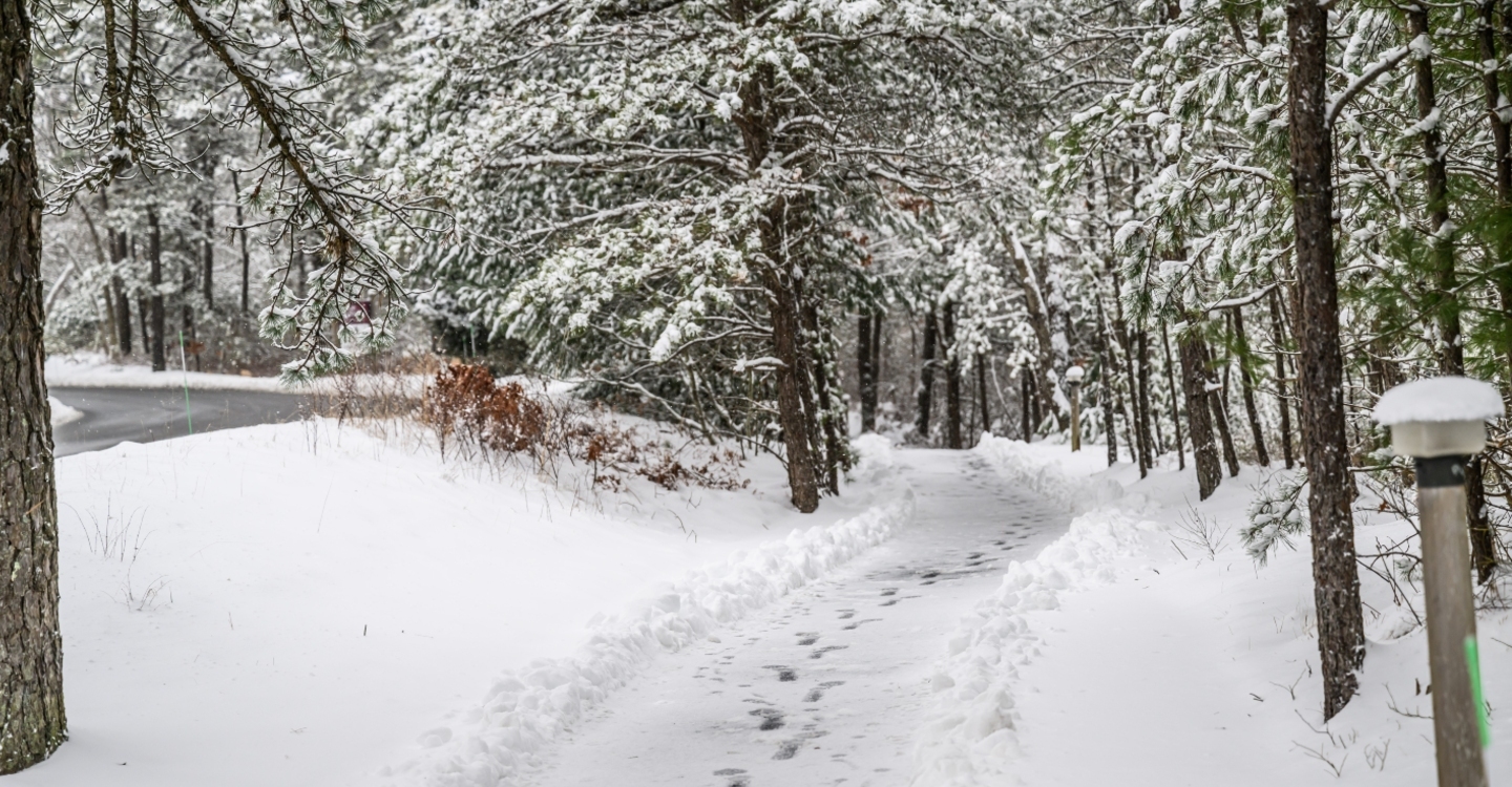Walking Trail in Winter Ken Grille